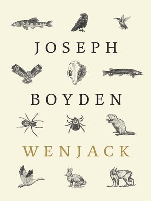 cover image of Wenjack
